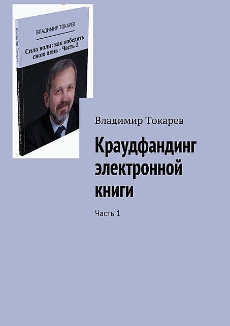 Краудфандинг электронной книги, Владимир Токарев