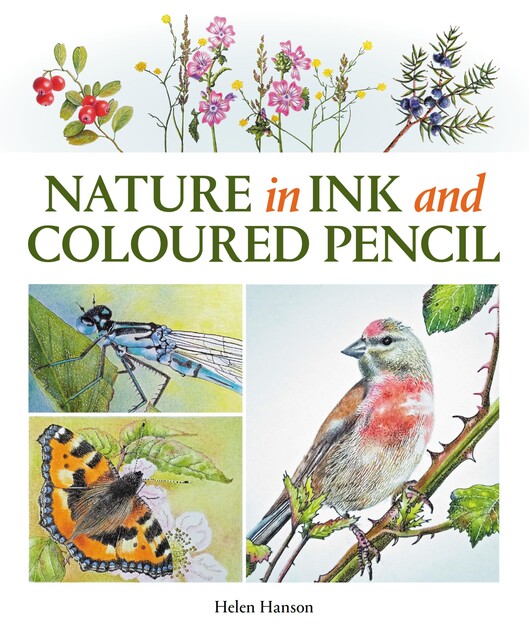 Nature in Ink and Coloured Pencil, Helen Hanson