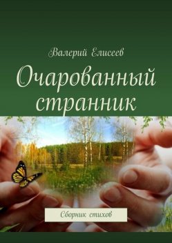Очарованный странник, Валерий Елисеев