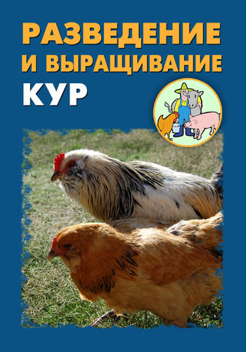Разведение и выращивание кур, Илья Мельников, Александр Ханников