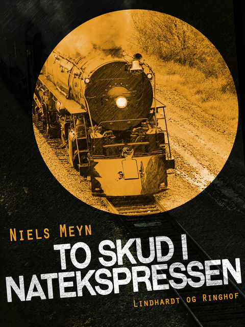 To skud i Natekspressen, Niels Meyn