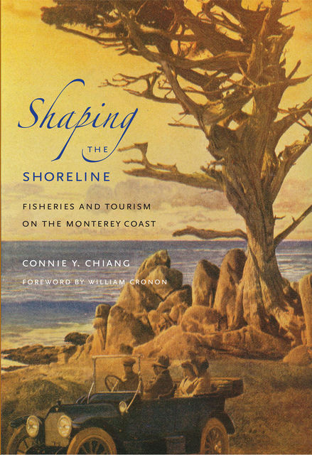 Shaping the Shoreline, Connie Y.Chiang