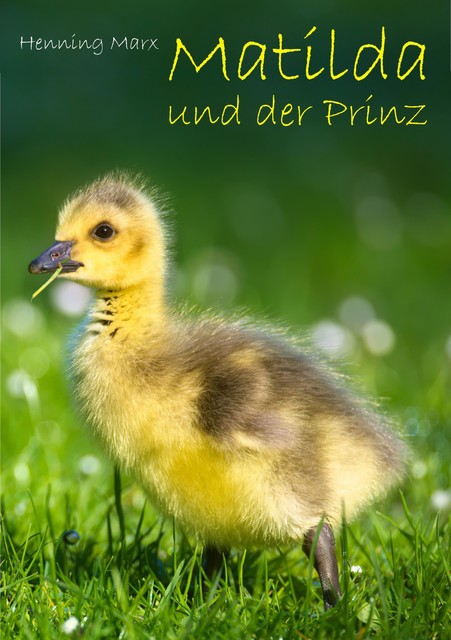 Matilda und der Prinz, Henning Marx