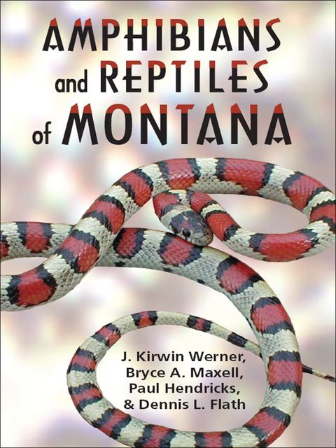 Amphibians and Reptiles of Montana, Bryce A.Maxell, Kirwin J.Werner, Paul Hendricks