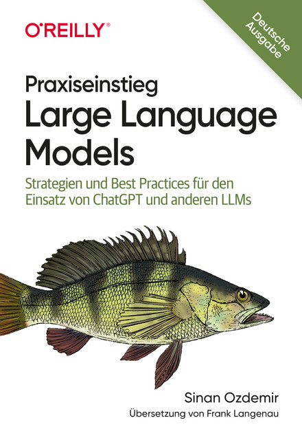 Praxiseinstieg Large Language Models, Sinan Ozdemir