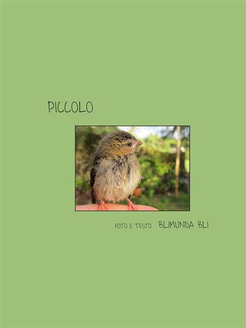 Piccolo – Versione italiana, Blimunda Bli