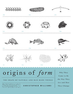 Origins of Form, Christopher Williams