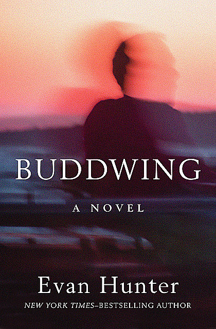 Buddwing, Evan Hunter