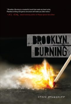 Brooklyn, Burning, Steve Brezenoff