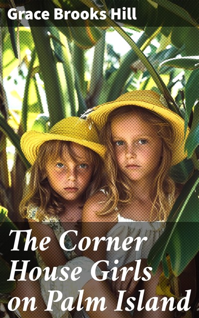 The Corner House Girls on Palm Island, Grace Brooks Hill