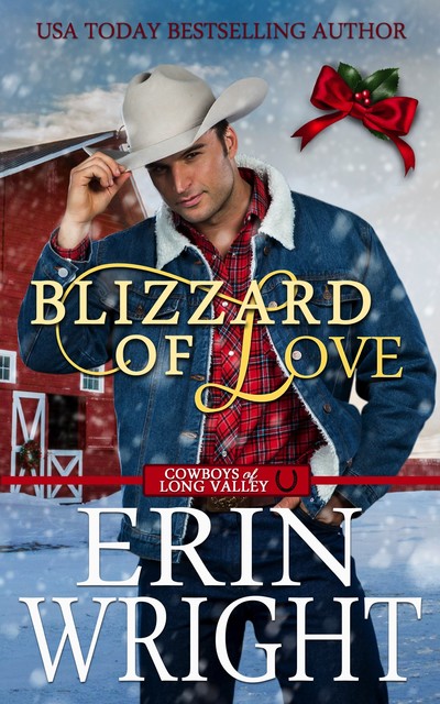 Blizzard of Love, Erin Wright