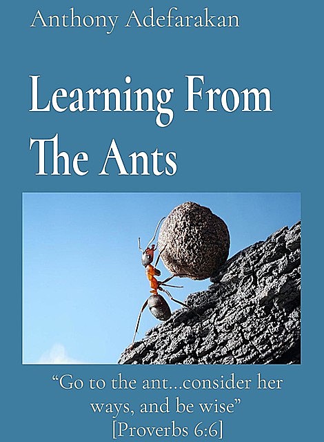 Learning From The Ants: “Go to the ant…consider her ways, and be wise” [Proverbs 6, Anthony Adefarakan