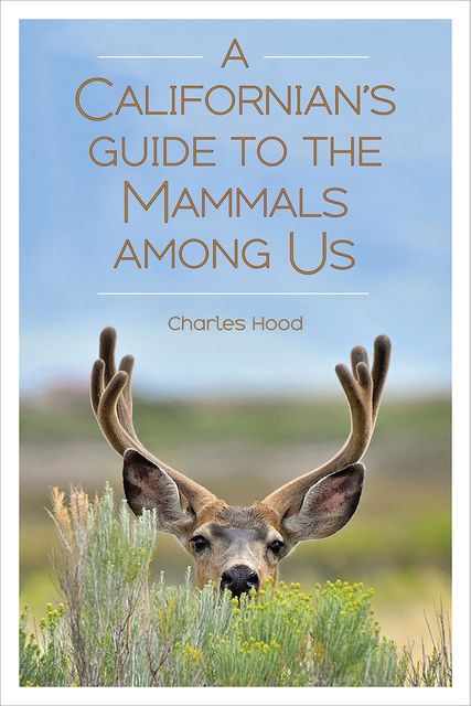 A Californian's Guide to the Mammals among Us, Charles Hood