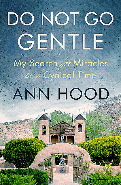 Do Not Go Gentle, Ann Hood