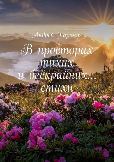 В просторах тихих и бескрайних… стихи, Андрей Парачук