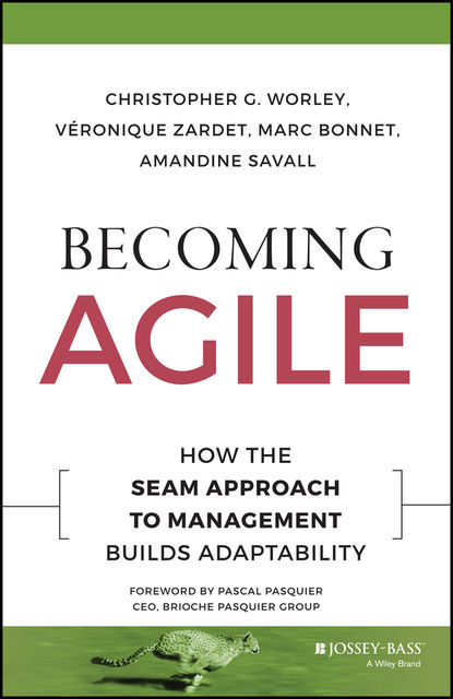 Becoming Agile, Christopher G.Worley, Amandine Savall, Marc Bonnet, Veronique Zardet