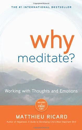 Why Meditate: Working With Thoughts and Emotions, Matthieu Ricard