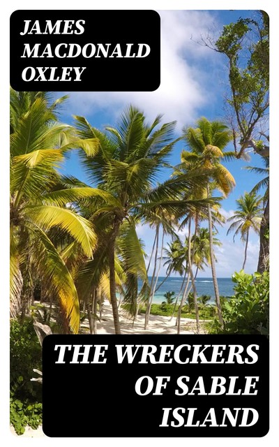 The Wreckers of Sable Island, James Macdonald Oxley