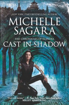 Cast in Shadow, Michelle Sagara