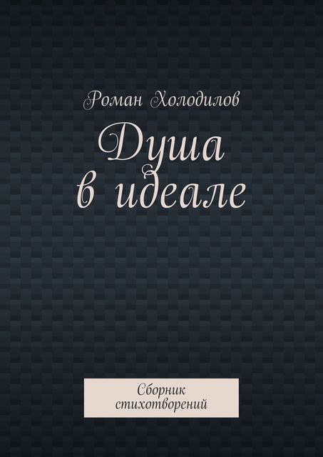 Душа в идеале, Роман Холодилов