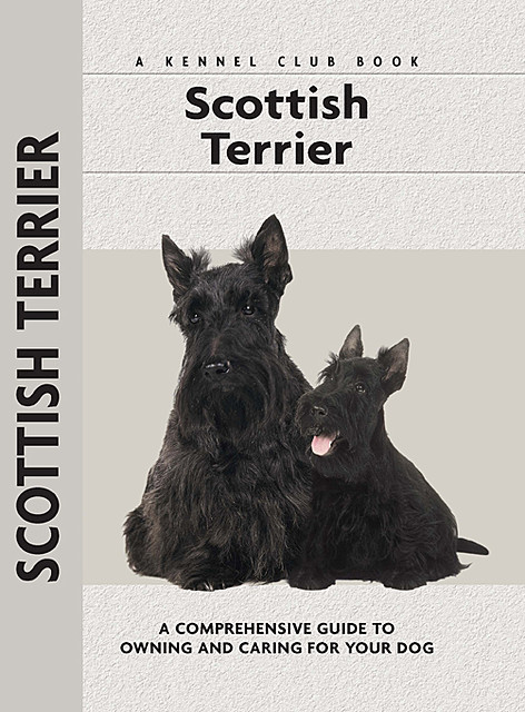 Scottish Terrier, Muriel P. Lee