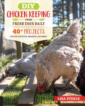 DIY Chicken Keeping from Fresh Eggs Daily, Lisa Steele