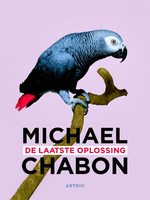 De laatste oplossing, Michael Chabon