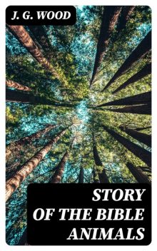 Story of the Bible Animals, J.G. Wood