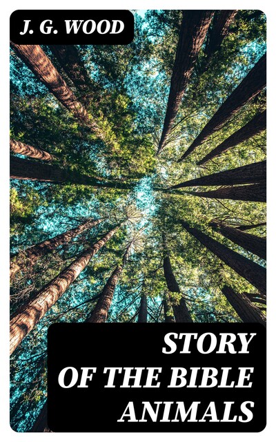 Story of the Bible Animals, J.G. Wood