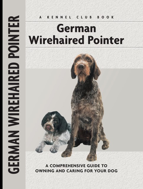 German Wirehaired Pointer, Ute Wand