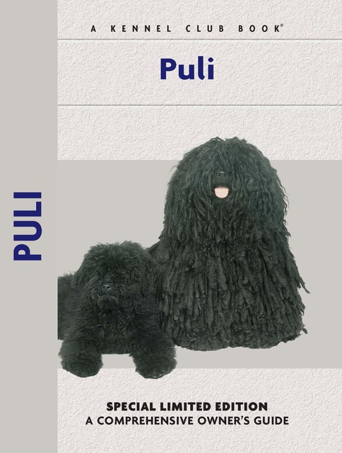 Puli, Ann Arch