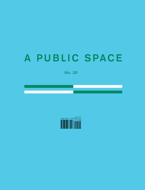 A Public Space No. 30, Brigid Hughes