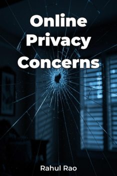 Online Privacy Concerns, Rahul Rao