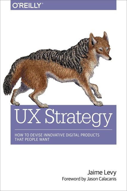 UX Strategy: How to Devise Innovative Digital Products That People Want, Jaime Levy