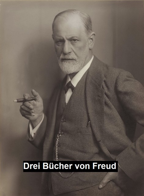 Drei Bücher, Sigmund Freud