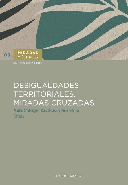 Desigualdades territoriales, Martha Schteingart, Jaime Sobrino, Clara Salazar
