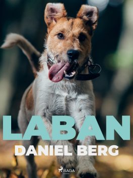 Laban, Daniel Berg