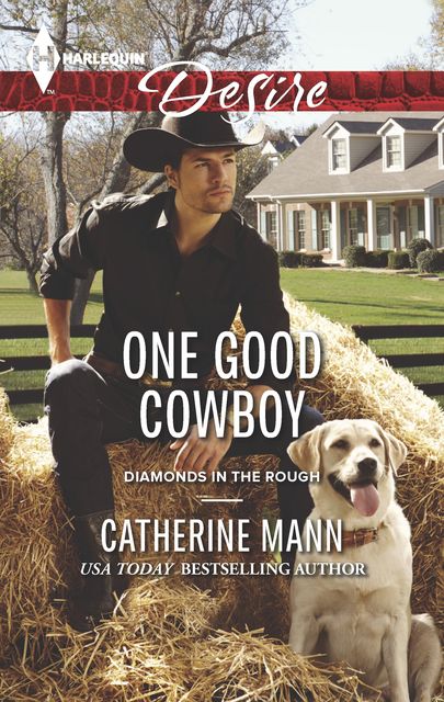 One Good Cowboy, Catherine Mann