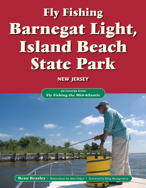 Fly Fishing Barnegat Light, Island Beach State Park, New Jersey, Beau Beasley