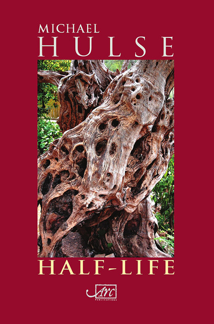 Half-Life, Michael Hulse