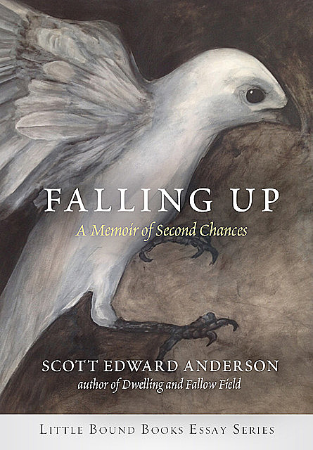 Falling Up, Scott Anderson