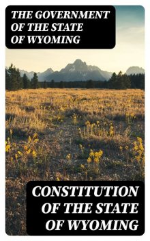 Constitution of the State of Wyoming, The Government of the State of Wyoming