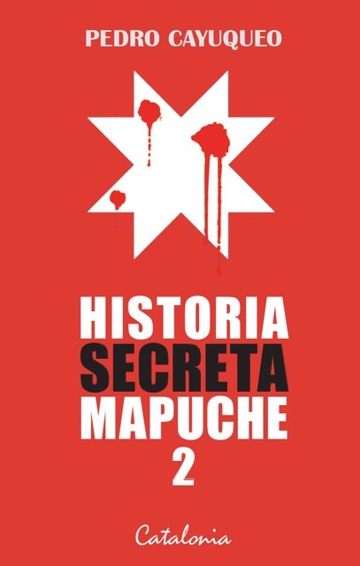 Historia secreta mapuche 2, Pedro Cayuqueo
