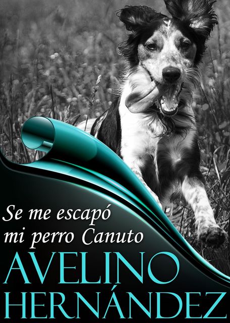 Se me escapó mi perro Canuto, Hernández Avelino