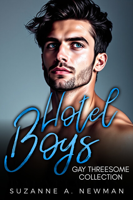 Hotel Boys Bundle Series Collection, Suzanne A. Newman