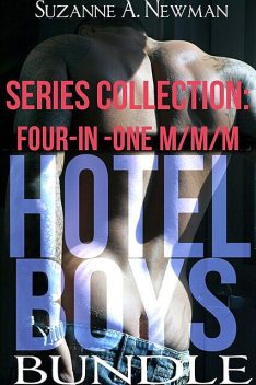 Hotel Boys Bundle Series Collection, Suzanne A. Newman