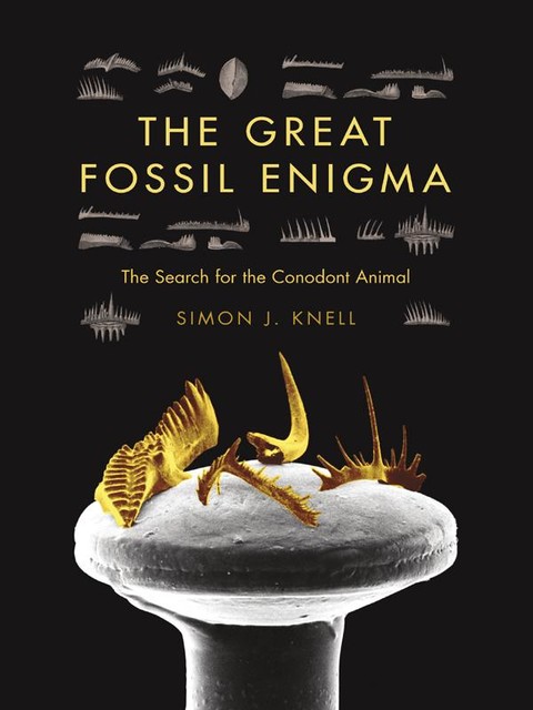 The Great Fossil Enigma, Simon J.Knell