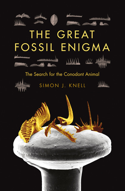 The Great Fossil Enigma, Simon J.Knell
