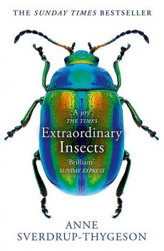 Extraordinary Insects, Anne Sverdrup-Thygeson