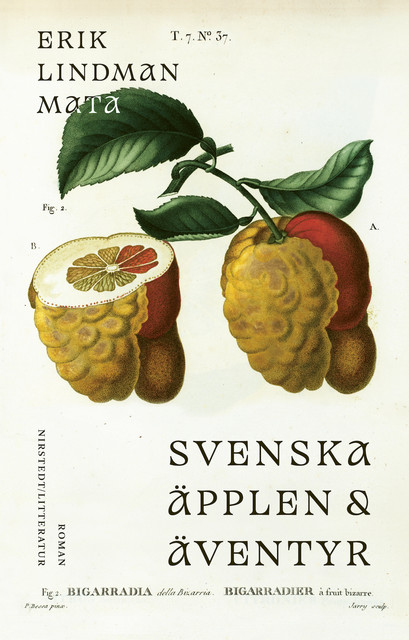 Svenska äpplen och äventyr, Erik Lindman Mata